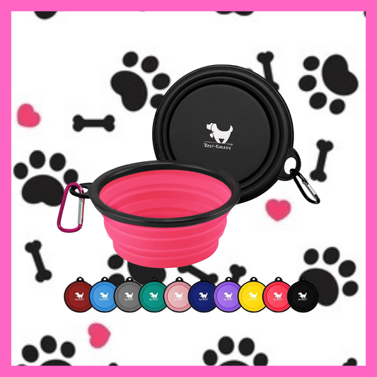 2-Pack Collapsible Dog Portable Water Bowls