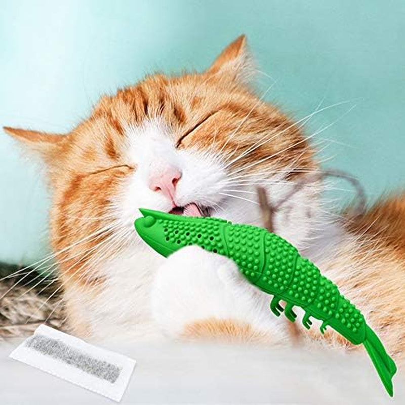 Cat Toy Interactive Catnip Dental Chew Cat Toothbrush Refillable with Bell (Toy)
