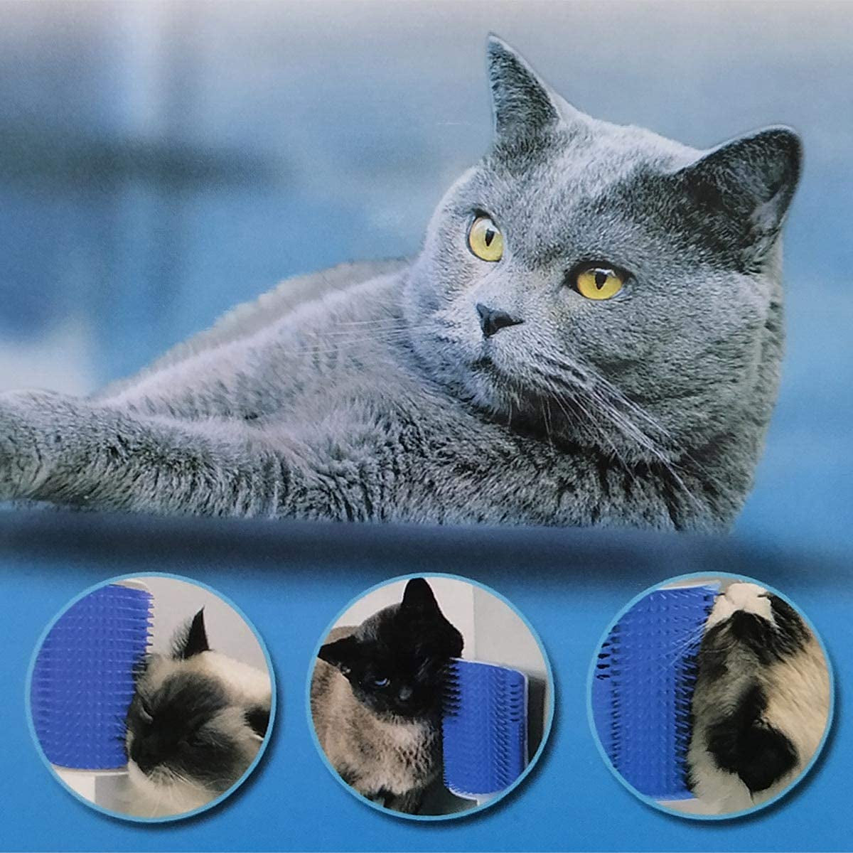 2 Pack Softer Self Groomer with Catnip Wall Corner Massage Comb Scratcher Grooming Brush Tool for Long & Short Fur Kitten Cats Dogs